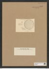 Diatomeae indet. Zeichnungen Sammlung Grunow Nr. 8965 (NHMW-BOT-W0378654)